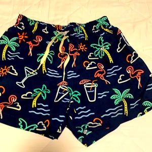 Men's Chubbies 5.5 inseam swim trunks